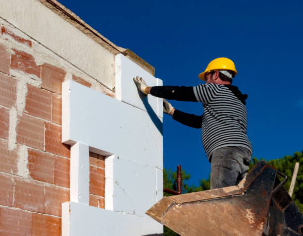 Best Affordable Insulation Services  in Helena, MT