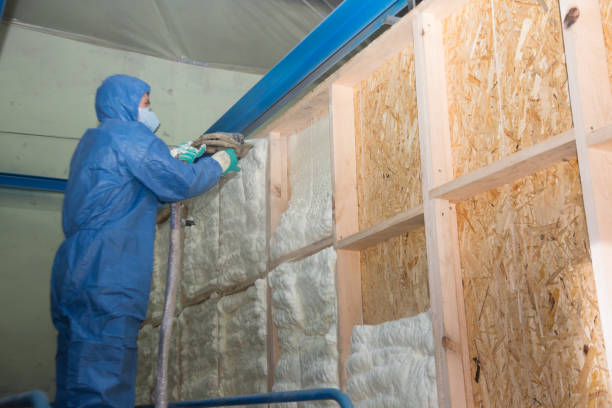 Best Blown-in Insulation  in Helena, MT