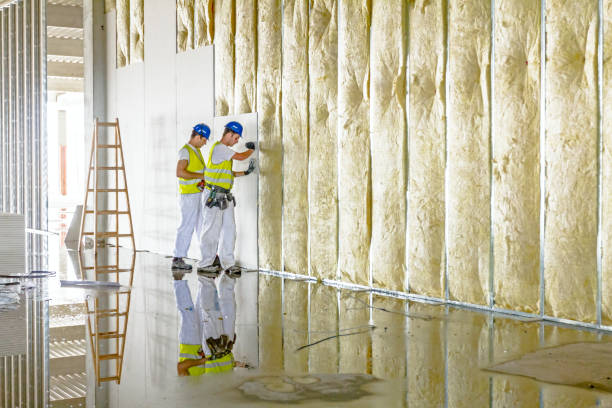 Best Attic Insulation Installation  in Helena, MT